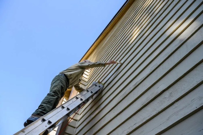 Residential Siding Maintenance: Boosting Curb Appeal